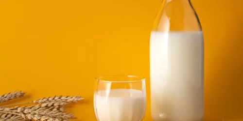 plantaardige drink