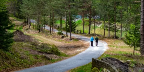 voordelen van wandelen